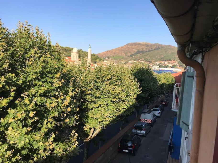 Apartamento Studio Bon Dia/Balcon/Proche Criques Et Collioure Port Vendres Exterior foto